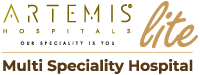 Artemis Lite
